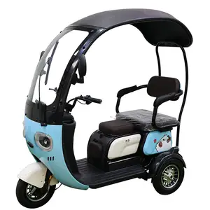 Electric Tricycle With Canopy For Adult 3 Wheel Electric Tricycle With Canopy Electric Tricycle Bike