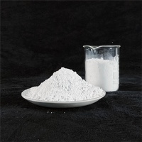 Magnesium Hidroksida MDH Penghambat Api Industri Premium CAS 1309-42-8 Kemurnian Tinggi Bubuk Halus Produk Alkali untuk Kebakaran