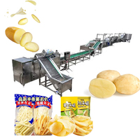 Automatische productielijn voor diepvriesfrieten en chipsmachines