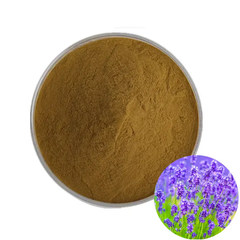 Polvo vegetal a granel al por mayor, extracto de lavanda 10:1, polvo de lavanda soluble en agua, extracto vegetal disponible