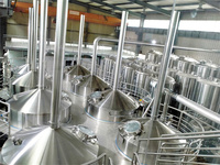 Équipement de brasserie artisanale écoénergétique 3000L-15000L Ensemble complet de cuves de fermentation et de stockage