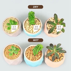 Đất Kanuma Cứng Nhật Bản Chất Lượng Hàng Đầu - Product Image 3