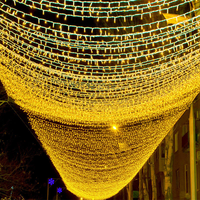 Guirlande lumineuse ciel étoilé blanc chaud lumières suspendues de Noël pour la célébration de mariage de magasin pour les fêtes lumières de rideau de vacances