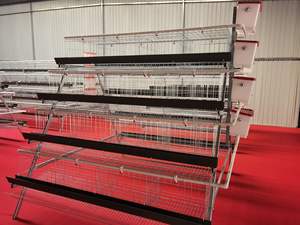 Nuevo alimentador de pollos a prueba de moho, diseño de almacenamiento plegable, apto para patio familiar Rural, cría autosuficiente, ahorro de espacio práctico - Product Image 6