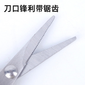 กรรไกรลอยน้ำสแตนเลสสำหรับตัดสายตกปลา สำหรับอุปกรณ์ตกปลาน้ำจืด - Product Image 3