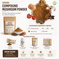 Extrait de Champignons Composés LongBio – Mélange de Poudres Multi-Champignons (Reishi, Crinière de Lion, Chaga, Shiitake, Maitake) pour Boissons – OEM ODM
