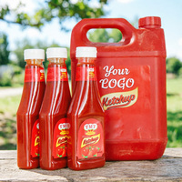 Papas Fritas Bajas en Grasa para Comidas Ligeras, Salsa para Hot Dogs, Papas Fritas, Hamburguesas, Hot Dogs, Salsa de Tomate, Marca Personalizada de Primera Calidad