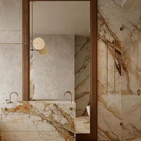 Nouvelles dalles de porcelaine en marbre de pierre mat de luxe 600x1200 antidérapantes modernes minimalistes à faible absorption d'eau pour chambre, salle à manger, salle de bain