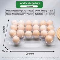 Vente en gros de barquettes à œufs en plastique transparent CPET légères, boîtes de rangement sécurisées pour œufs, emballage blister pour élevages de poulets