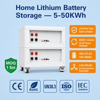 Batterie au lithium montée sur rack 48V 100Ah 200Ah 314Ah 5kWh 10kWh 16kWh pour stockage d'énergie résidentiel, boîtes et racks de batteries