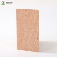 Contrachapado de Álamo Pre-Laminado de Alta Resistencia de 18 mm con Recubrimiento Fenólico E0, Tablero de Encofrado Reutilizable