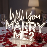Dropshipping : Néon de demande en mariage en nano-silicone flexible de qualité supérieure pour dôme en verre privé, modèle professionnel de pointe