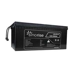 Batteries LiFePO4 Lithium-Ion en Promotion 12V 12.8V 24V 100Ah 200Ah 300Ah pour Camping-Car - Product Image 1