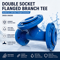 Raccords en T à double embout avec branche à bride |   Fer ductile BS4772 |   DN50-DN200 |   Raccord en T à bride DI pour conduite d'eau