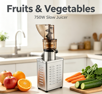 750W Commerciële Schroefpers Slow Juicer, RVS Koude Pers Sapcentrifuge voor Fruit en Groenten