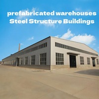 Bâtiment d'entrepôt préfabriqué à grande portée en structure métallique Q235B, hangar de stockage économique en métal, conception personnalisée