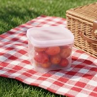 Boîte de préparation de repas minimaliste, compacte, transparente, en plastique, résistante aux fuites et aux odeurs, compatible congélateur, écologique, moulée par injection