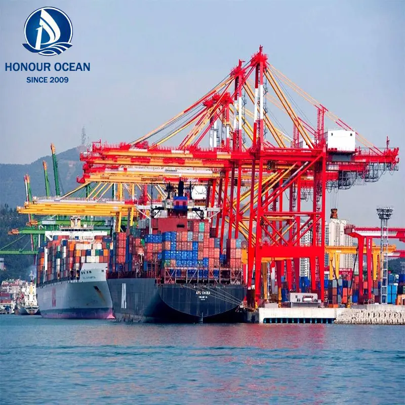 Dropshipping पूर्ति के लिए ग्राहकों के कार्गो शंघाई गोदाम समुद्र माल एजेंट फारवर्डर चीन इंडोनेशिया <span class=keywords><strong>न्यूनतम</strong></span> 10kg अंतरराष्ट्रीय रसद