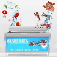 Machine de lavage à haute efficacité à bulles d'air et ozone pour agrumes, algues, raisins, fruits, légumes, noix et moteurs