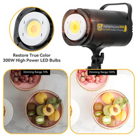Lampe Vidéo LED 300W 5700K, Éclairage Continu Dimmable pour Studio Photo, Lumière du Jour pour Vidéo YouTube, Live et Lumière d'Appoint