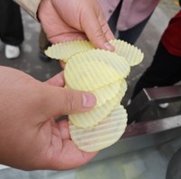 Multifunctionele groentesnijder van roestvrij staal voor het maken van aardappelchips en frieten voor de voedingsindustrie