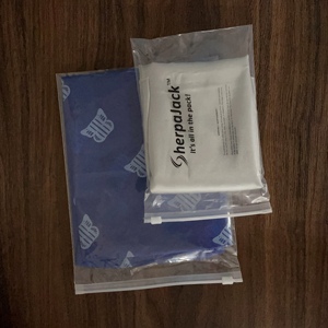 Bolsas de plástico transparente con cierre hermético al por mayor, personalizadas con el logotipo de la marca, bolsas de PE con cierre para empaque de accesorios de ropa. - Product Image 4
