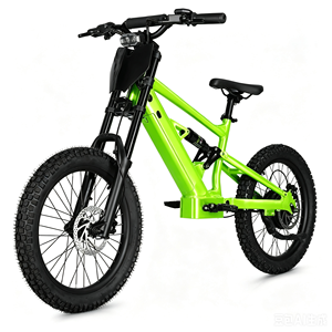 Bicicleta de Equilibrio para Niños de 20 Pulgadas, 48V, 6.0AH, 1000W, Diseño sin Escobillas, Sensor Inteligente, Litio, Aluminio, para Niños - Product Image 2