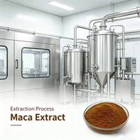 Approvisionnement direct usine : Extrait de racine d'herbe noire 10:1 20:1, Macamides 0,6% 1%, testé HPLC, qualité alimentaire, supplément en vrac, vente en gros