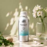 Huile Essentielle Concentrée Naturelle à Base d'Extraits Végétaux pour Diffuseur, 500 ml, Parfum Boisé pour Hôtels et Maisons