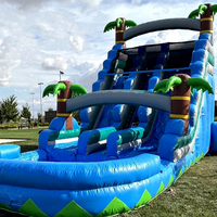 Toboggan aquatique gonflable commercial en forme de palmier tropical bleu, 18 pieds, 20 pieds, 22 pieds, toboggan aquatique gonflable pour enfants et adultes