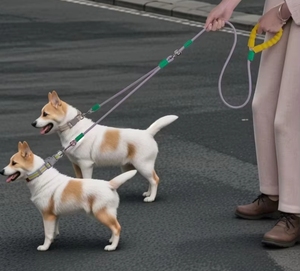 Durable Double <strong>Dog</strong> <strong>Leash</strong> with Soft Foam Handle , Colorful Tangle-Free Rope Lead <strong>for</strong> Walking Two Small or Medium Pets Outdoors - Product Image 5