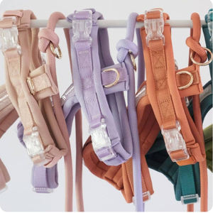 Sunraymascota 犬用ハーネスメーカー 低MOQ 卸売 カスタムデザイン 犬用ハーネスセット 調節可能な犬用ハーネス - Product Image 3