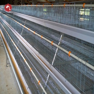 Élevage des œufs, équipement pour élevage de volaille, <span class=keywords><strong>design</strong></span> <span class=keywords><strong>A</strong></span> couche, <span class=keywords><strong>cage</strong></span> de poulet à vendre - Product Image 2