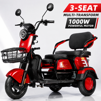 Tricycle Électrique 3 Roues 1000W d'Usine OEM, Scooter de Loisirs Robuste 200KG, Triple Frein, 3 Passagers, Carrosserie Ouverte, CE