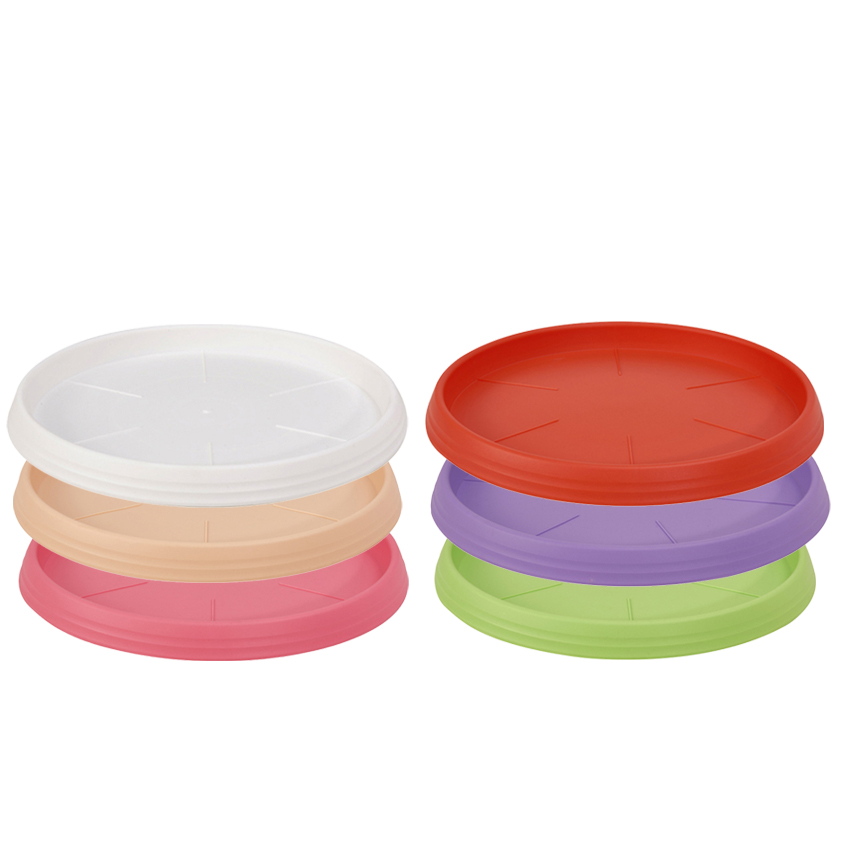 tray