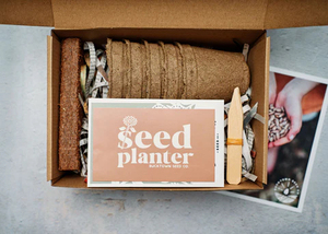 Un conjunto de kits de jardín de hierbas para interiores y exteriores que es orgánico y le permite usarlo <span class=keywords><strong>cuando</strong></span> lo desee - Product Image 6