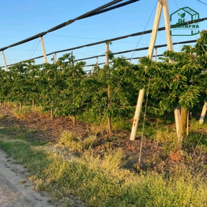 Red de Protección Contra la Lluvia, Estructura de Red Agrícola Resistente, Ideal para Proteger Cultivos de Lluvia Intensa, Granizo y Condiciones Adversas - Product Image 4