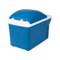 Mini-réfrigérateur thermoélectrique portable pour voiture, glacière pour activités de plein air