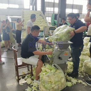 מזון אוטומטי הטוב ביותר dhydrator עלים kale כרוב מייבש ירקות יבש ניקוי יבש וניקוי יבש - Product Image 2