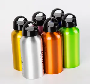 Hoge Kwaliteit 500Ml Sport Aluminium Drink Waterfles Custom Met Plastic Handvat