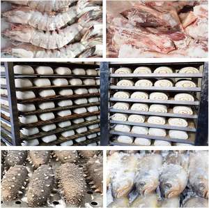 Congelador Industrial de Acero Inoxidable 304, Ultra Baja Temperatura -40C, Congelación Rápida para Gelato, Mariscos y Helados - Product Image 5