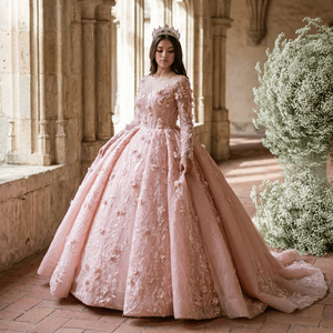 Vestido de Quinceañera Rosa Lsany216, Moderno, Talla Grande, con Lentejuelas, Cintura Natural, Bordado, Servicio OEM, Jancember - Product Image 1