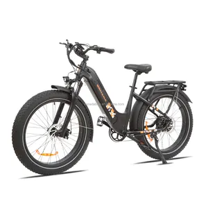 Entrepôt américain uniquement Mini ebike Bike Shop Fournisseurs avec les meilleures sensations