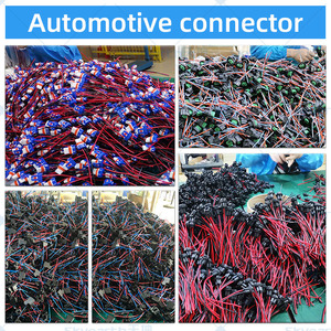 Nouveau support <span class=keywords><strong>d</strong></span>'<span class=keywords><strong>ampoule</strong></span> T10 durable avec boîtier en plastique résistant à la chaleur 12V SKYEARTH pour éclairage de plafonnier de voiture et éclairage de <span class=keywords><strong>plaque</strong></span> <span class=keywords><strong>d</strong></span>'<span class=keywords><strong>immatriculation</strong></span> - Product Image 4