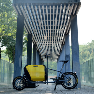 Vélo <span class=keywords><strong>cargo</strong></span> électrique avec panier avant pliable, vélo <span class=keywords><strong>cargo</strong></span> électrique pour transport normal, vélo <span class=keywords><strong>cargo</strong></span> électrique pour bébé - Product Image 2