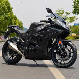Motocicleta Deportiva BMWII RR 1000cc, Inyección Nacional, Legal para Calle, de Carreras, con Velocidad Máxima de >80 km/h, Estilo <span class=keywords><strong>Pista</strong></span> - Product Image 4