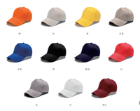 Gorras Personalizadas con Logotipo, Gorras de Béisbol Bordadas y Sublimadas