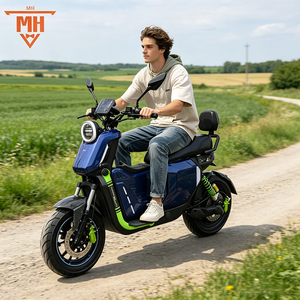 Bicicletta elettrica con ampio box portaoggetti, telaio in acciaio al carbonio, scooter <span class=keywords><strong>elettrico</strong></span> <span class=keywords><strong>da</strong></span> 2000W, <span class=keywords><strong>bici</strong></span> elettrica ad alta potenza. - Product Image 1