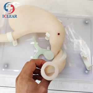 Modèle d'examen et de formation <span class=keywords><strong>ERCP</strong></span> de haute Simulation - Product Image 5