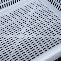 Panier de lavage et d'égouttage en plastique PE avec poignée pour fruits et légumes